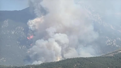 Denizli’de Pamukkale’de çıkan orman yangınına havadan ve karadan müdahale sürüyor