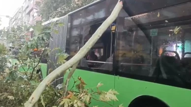 Denizli'de fırtına nedeniyle ağaç belediye otobüsünün üzerine düştü