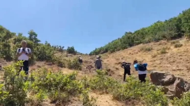 Bitlis'in Tatvan ilçesinde Van Gölü Aktivistleri Derneği Kırkor Dağı'nda doğa yürüyüşü