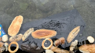 Rize’de kimliği belirsiz kişiler denize yüzlerce ekmek döktü