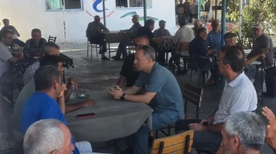 Aydın'da 509 bin büyükbaş hayvana şap aşısı yapılıyor