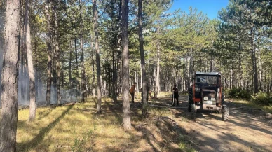 Hanönü'de çıkan orman yangını ekipler tarafından söndürüldü