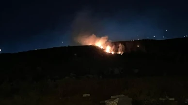 Balıkesir'de şehir çöplüğünde çıkan yangın araziye sıçradı