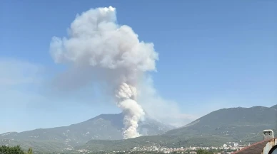 Denizli'nin Pamukkale İlçesinde Orman Yangınına Ekipler Müdahale Ediyor