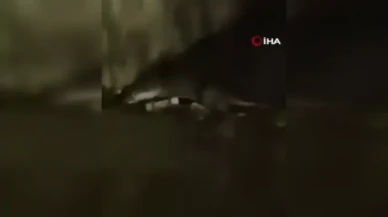 Bursa’da Su Samuru Gören Vatandaş Şaşkınlığını Dile Getirdi