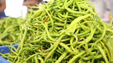 Kayseri'de yüzde 100 ekolojik pazar büyük ilgi gördü