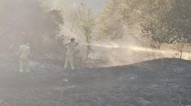 Kastamonu Şenpazar’da ikinci orman yangınında 5 samanlık küle döndü