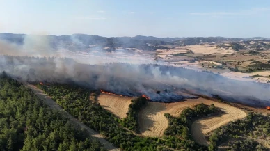 Gelibolu'da orman yangınına havadan ve karadan müdahale sürüyor
