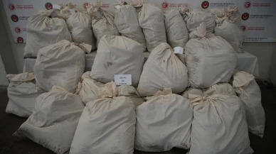 Kapıkule'de 245 kilo esrar ele geçirildi, 2 şüpheli gözaltına alındı