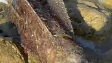 Şile sahili sas timlerince roket başlığı güvenli şekilde imha edildi