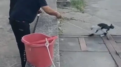 Karabük'te havalandırma boşluğuna düşen kedi itfaiye ekipleri tarafından kurtarıldı