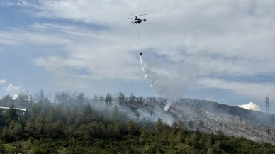 Kocaeli İzmit’te Ağaçlık Alana Sıçrayan Yangın Kontrol Altına Alındı