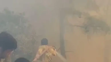 Çanakkale'nin Gelibolu ilçesinde orman yangınına havadan ve karadan müdahale ediliyor