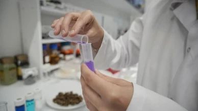 Nilüfer Çayı'nı Bursa Teknik Üniversitesi Organik Atıklarla Temizliyor