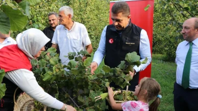 Vali Selçuk Aslan Düzce'de fındık hasat sezonunu horon oynayarak açtı