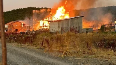 Bolu’da Seben İlçesindeki Solaklar Yaylası'nda İki Yayla Evi Yangında Küle Döndü
