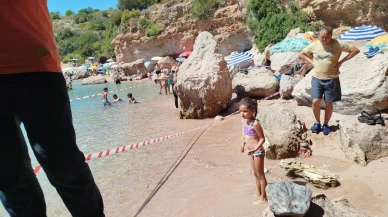 Datça’da Akdeniz Foku Sahile Çıktı Ve Koruma Altına Alındı