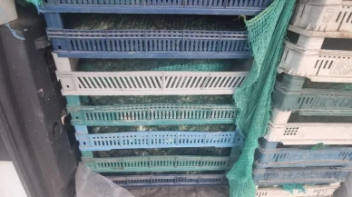 Doğubayazıt'ta jandarma kaçak kurbağa avcılığı operasyonu düzenledi