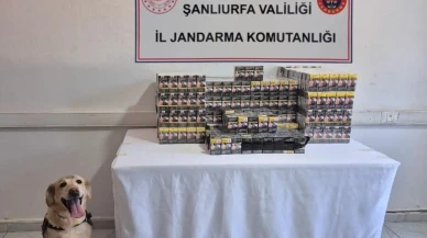 Şanlıurfa'da jandarma kaçak sigara, alkol ve çay ele geçirdi