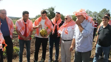 Manisa Kula’da Protokol Üyeleri Kavun Hasadına Katıldı