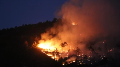 Denizli'de Honaz Dağı'nda çıkan yangına gece karadan müdahale devam ediyor