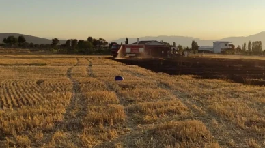 Beyşehir’de Anız Yangınları Ormanlık Alana Sıçramadan Söndürüldü