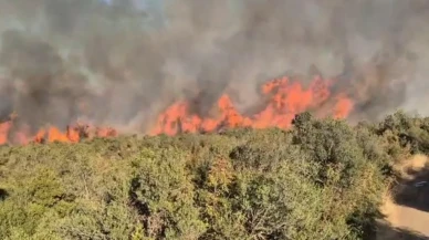 Balıkesir Susurluk’ta Orman Yangınına Ekipler Müdahale Ediyor