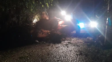 Rize'nin Çamlıhemşin ilçesinde heyelan nedeniyle yayla yolu ulaşıma kapandı