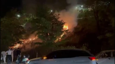 Sapanca’da meşale yangını ağaçlık alana sıçradı ekipler müdahale etti.