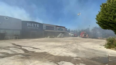 Çanakkale’de yangın ormanlık alan ve işletmelere sıçradı