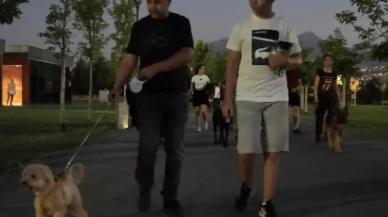 Kayseri'deki Proteo Köpek Eğitim Parkuru köpek sahiplerinden tam not aldı