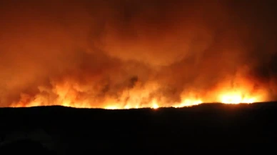 Gelibolu'da orman yangınına müdahale sürüyor 251 kişi tahliye edildi
