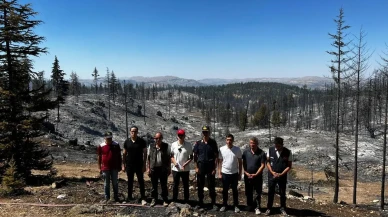 Karaman’da çıkan orman yangını Ermenek ve Sarıveliler’de kontrol altına alındı