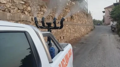 Germencik Belediyesi sivrisinek mücadelesi için ilaçlama çalışmalarını sürdürüyor