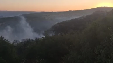 Manisa Köprübaşı’nda orman yangınına havadan ve karadan müdahale ediliyor