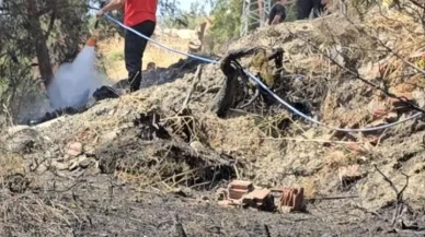 Mudanya’da elektrik direklerinden çıkan yangın kontrol altına alındı