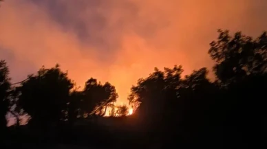 Diyarbakır'ın Lice ilçesinde ormanlık alanda çıkan yangın söndürüldü