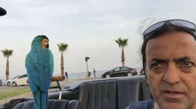 Turgut Özal'ın papağanı Cabbar Antalya'da ikinci kez çalındı