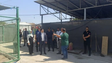 Manisa’da Sahipsiz Hayvanlar İçin Doğal Yaşam Alanları Denetlendi