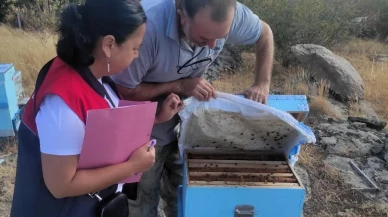 Pınarhisar'da arılı kovan tespit çalışmaları devam ediyor