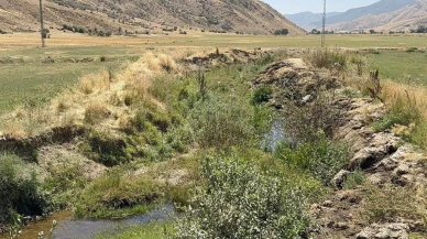 Bitlis'in Güzeldere Vadisi kuraklık tehlikesiyle karşı karşıya