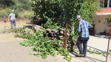 Nazilli Belediyesi Hisarcık'ta temizlik ve ot biçme çalışması yaptı