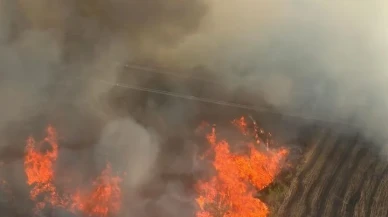 Adana’da İmamoğlu ilçesinde orman yangınına helikopter ve uçakla müdahale