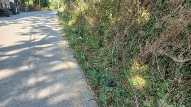 Düzce'de sel taşkınlarını önlemek için v kanal çalışmaları devam ediyor