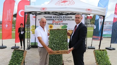 Samsun'da Bafra Ovası'nda ihracata uygun sebze üretimi için fide dağıtımı yapıldı