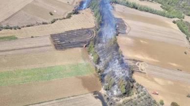 Adana Karaisalı’da Çıkan Orman Yangını Kısa Sürede Kontrol Altına Alındı