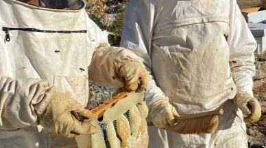 Bozkır’da Baybağan Yaylası’nda Bal Hasadı Bereketli Geçti