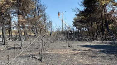 Çanakkale ve Bayramiç'te UEDAŞ enerji hatlarını yangın sonrası onarıyor