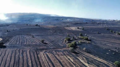 Çorum’da ormanlık alana sıçrayan yangında itfaiye ekipleri çalışıyor