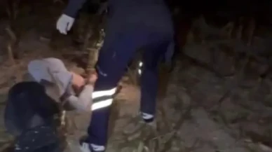 Alkollü sürücünün kontrolünden çıkan araç Sakarya'da tarlaya uçtu, iki yaralı var.